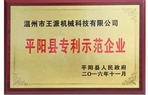 专利示范企业